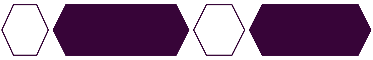 Four geometric hexagon shapes in purple, two solid-filled and two outlined, arranged alternately.